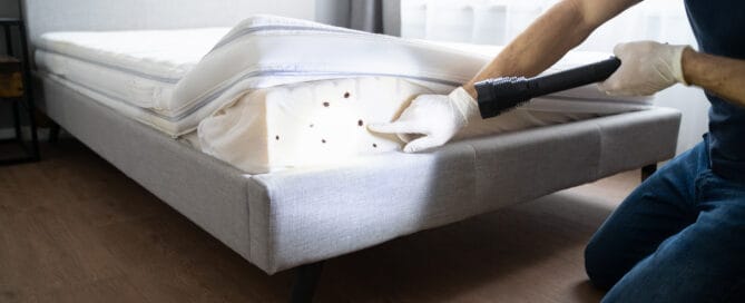 bed bugs at short-term vacation rental
