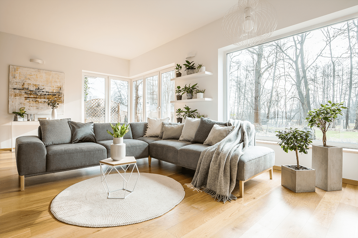 A living room in an Airbnb with bright natural lighting.