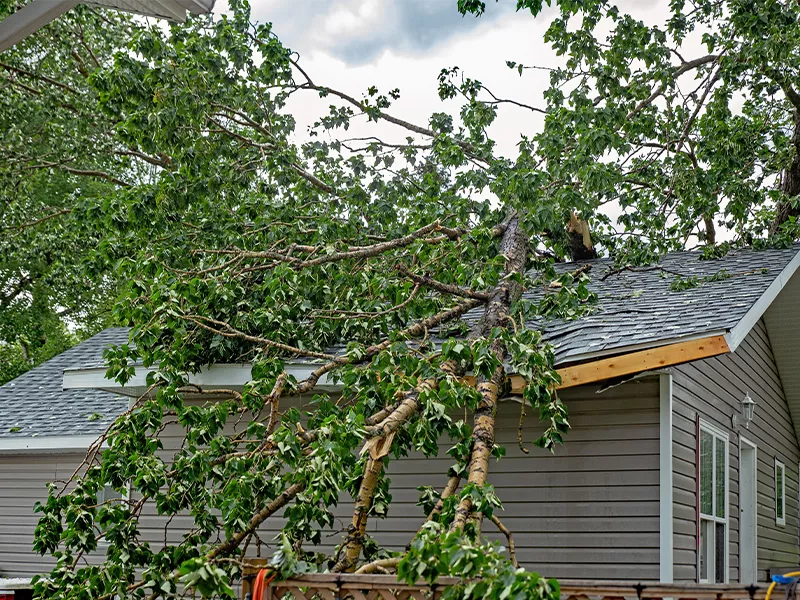 Does Homeowners Insurance Cover Airbnb?