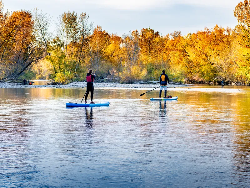 Two people on stand-up paddleboards. 