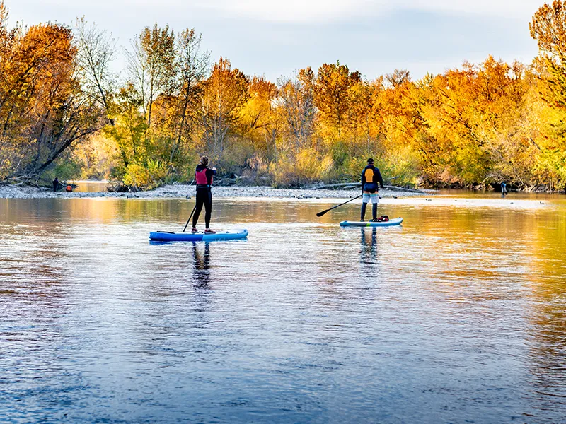 Two people on stand-up paddleboards.