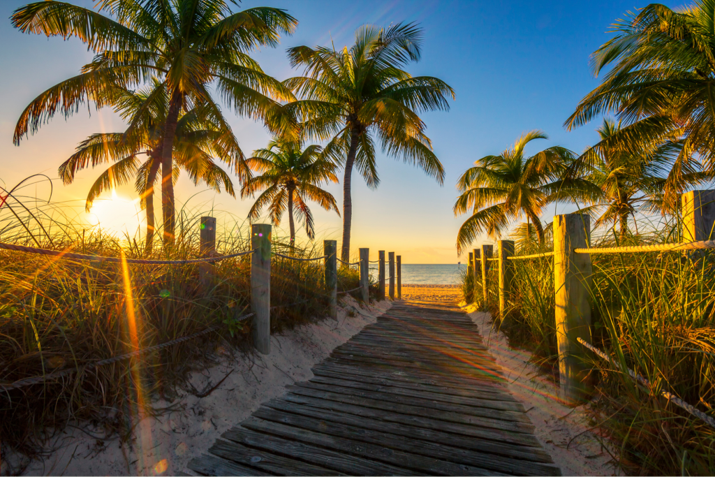 Picture of a Boardwalk and palm trees on the beach