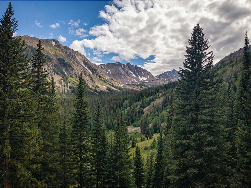 Rocky Mountains with a valley running through the image full of green trees and shrubbery