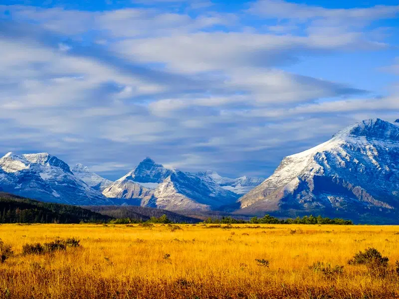 Snowy mountains towering over a golden hay field in Montana